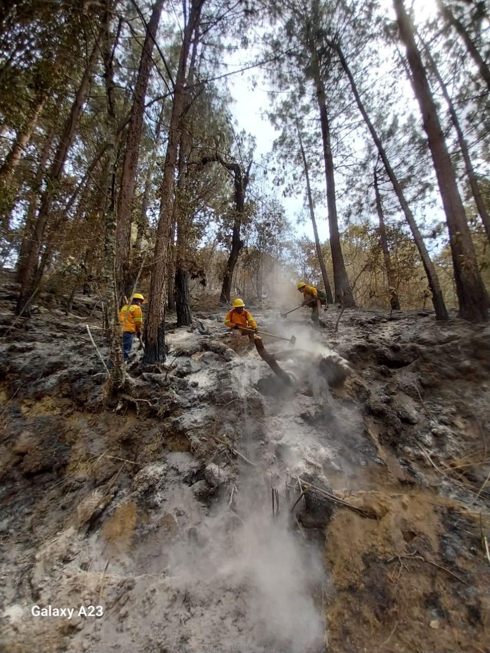 Controlan al 95% incendio forestal en Santa Catarina Juquila-4
