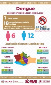 Exhorta SSO a reforzar medidas de prevención contra el dengue en periodo vacacional 03