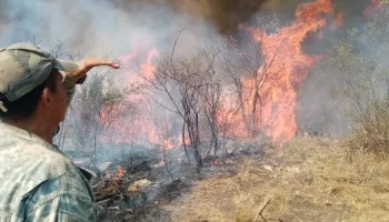 INCENDIO-1