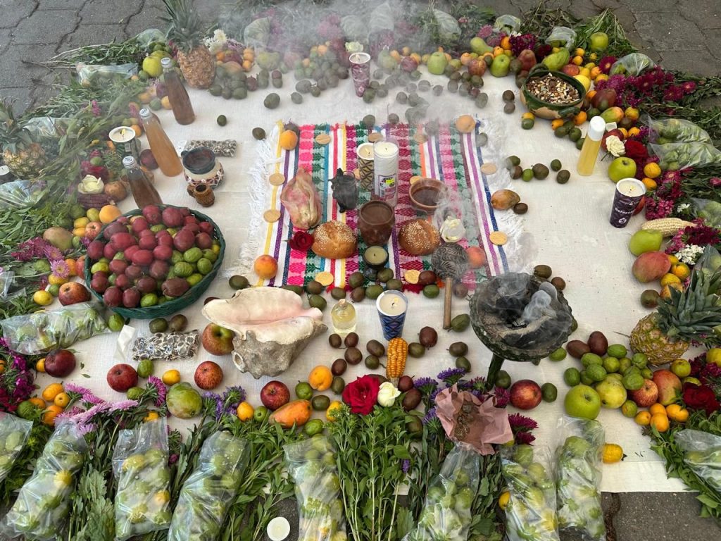 Impulsa SSO Jornada de Medicina Tradicional 4