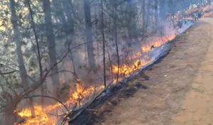 Incendio