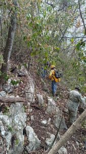 Liquida Coesfo incendio forestal en Acatlán de Pérez Figueroa (2)