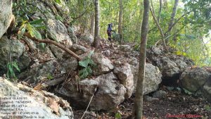 Liquida Coesfo incendio forestal en Acatlán de Pérez Figueroa (4)