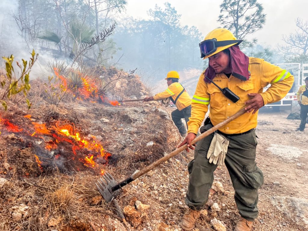 Liquida-Coesfo-incendio-forestal-en-limites-de-San-Vicente-Coatlan-y-Yogana-2