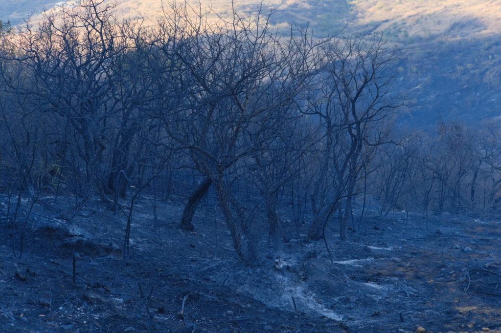 Reforzó Gobierno de Oaxaca labores de combate de incendio forestal con 33 descargas aéreas-5