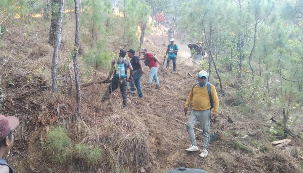 Reporta Coesfo avance del 80 % en control del incendio forestal en Putla Villa de Guerrero (5)