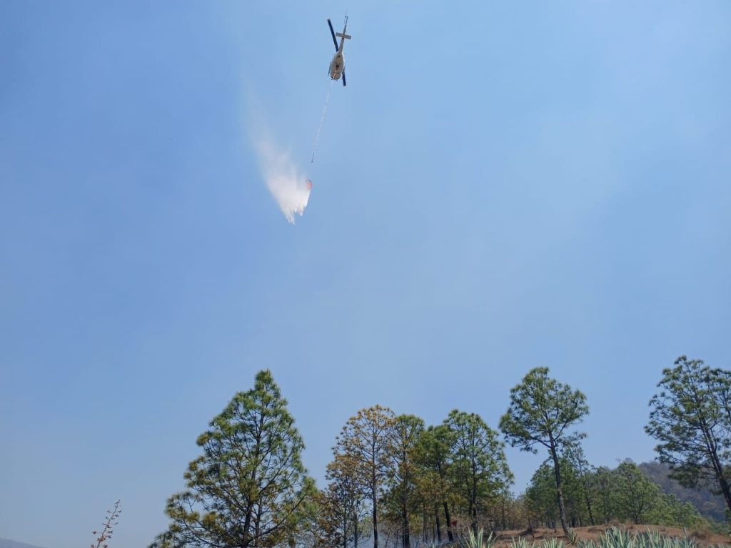 Reporta Coesfo control de incendio forestal en San Felipe Zapotitlán (8)
