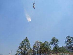 Reporta Coesfo control de incendio forestal en San Felipe Zapotitlán (8)