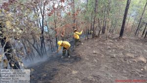 Reporta Coesfo control de incendio forestal en San Juan Tamazol-2