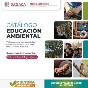1.Oferta Gobierno del Estado cursos para fomentar la educación ambiental