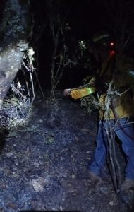 Combate Coesfo incendio forestal en San Juan Quiotepec 1