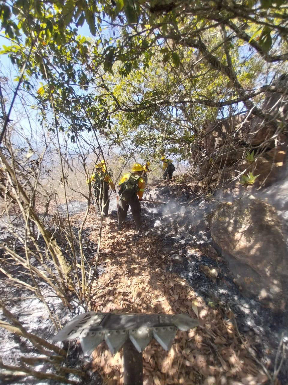 Controlado 100% incendio forestal en San Juan Juquila Mixes Coesfo 1