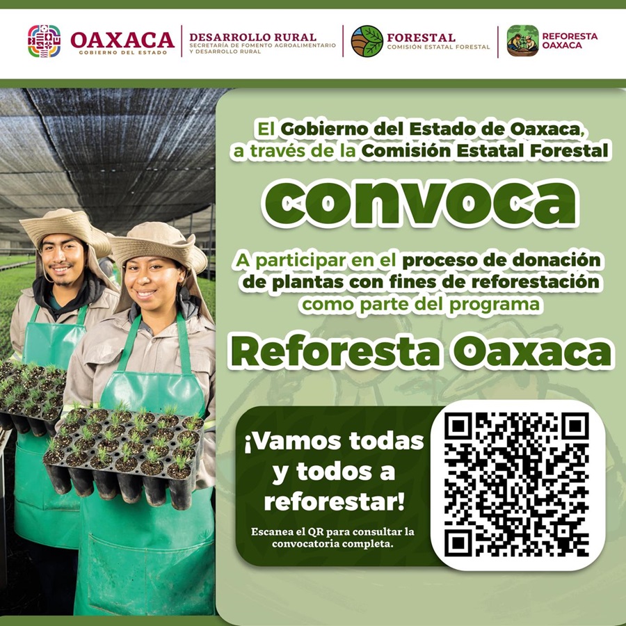 Convoca Coesfo a donar plantas con fines de reforestación-1