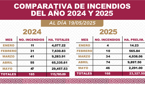 Más de 2 mil hectáreas afectadas por 46 incendios durante mayo Coesfo 3