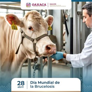 Reitera SSO llamado a evitar consumo de productos lácteos sin pasteurizar 1