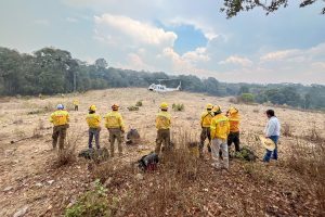 Reporta Coesfo 70% de control en incendio forestal de Tepelmeme Villa de Morelos (5)