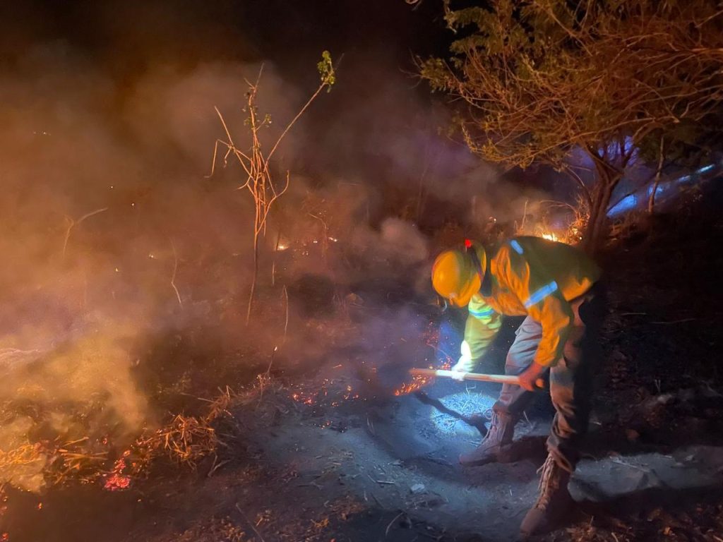 Reporta Coesfo control de dos incendios forestales en Santiago Pinotepa Nacional (5) (1)