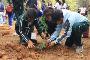 03 REFORESTACIÓN IEEPO