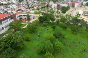 1.Embellece Coesfo Ciudad Judicial a través de jornada de reforestación