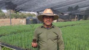 2.Impulsa Coesfo la reforestación a través del vivero de Santa Ana Tlapacoyan