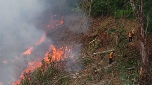 2.Refuerza Coesfo la prevención de incendios forestales en Santa María Chimalapas