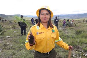 Con Mega Tequio de Reforestación 2025, Salomón Jara une y restaura el ecosistema de la zona Chocho-Mixteca 5