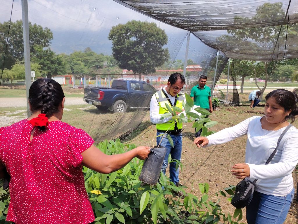 Dona Coesfo más de 7 mil árboles a escuelas de Jalapa de Díaz para la reforestación de espacios comunes 2