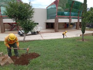 Inicia Coesfo acciones de Reforesta Oaxaca en Ciudad Judicial (1)