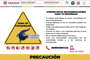 MA_COM_COCODRILOS (1)