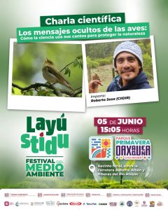 MA_Festival_Aves_1