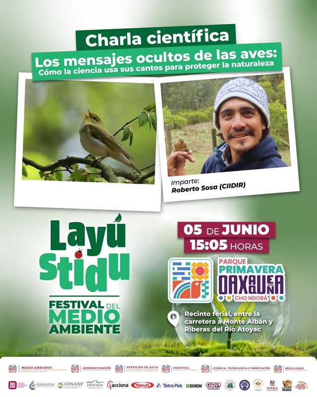 MA_Festival_Aves_1