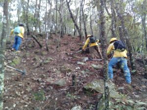 Rehabilita Coesfo brecha cortafuego en Cerro del Vidrio, San Juan Lachao (2)