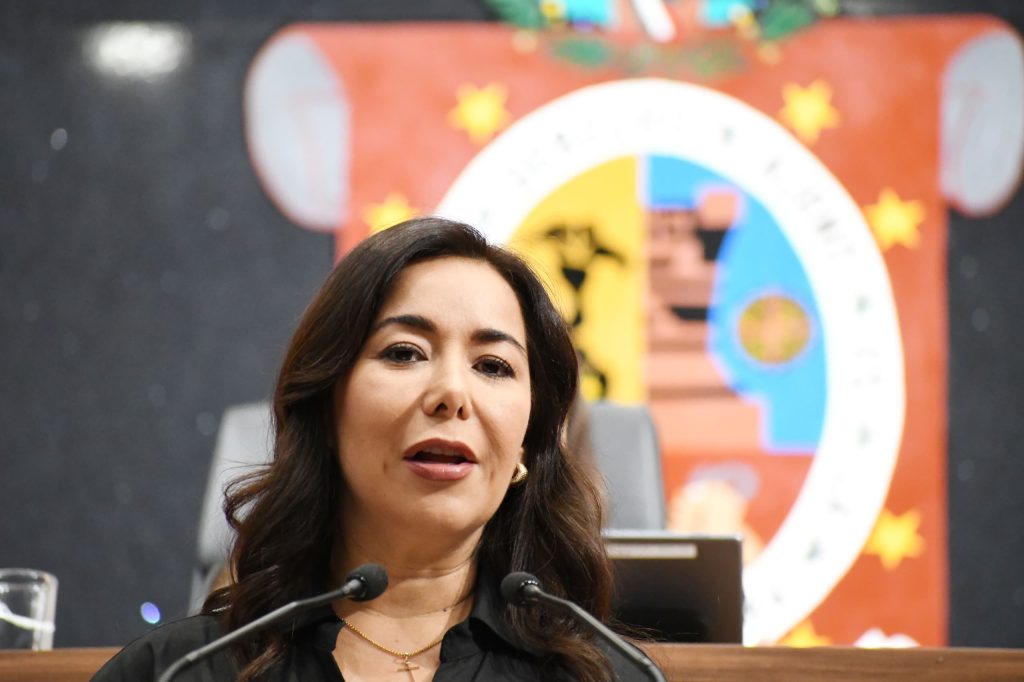 Dip. Haydeé Irma Reyes Soto (2)