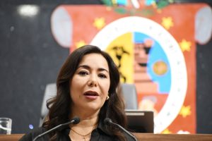 Dip. Haydeé Irma Reyes Soto (2)