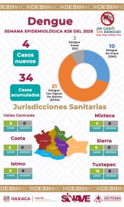 Emprende SSO tercer operativo contra el dengue en Tuxtepec 06
