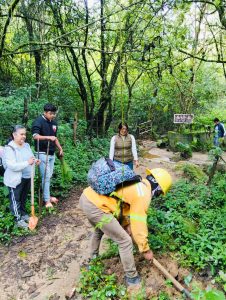 Con Reforesta Oaxaca 2025 se han atendido más de 9 mil hectáreas de ecosistemas forestales 3