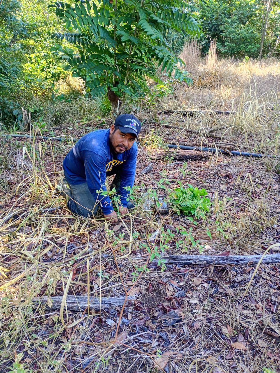 Dona Coesfo más de 8 mil árboles de Reforesta Oaxaca en San Juan Cotzocón (1)