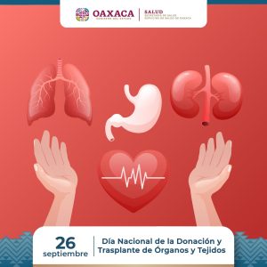 Llama SSO a sumarse a la cultura de donación de órganos y tejidos, un acto de amor que trasciende la vida 1