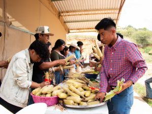 Conmemora UTVCO Día Nacional del Maíz con actividades académicas y de convivencia (2)