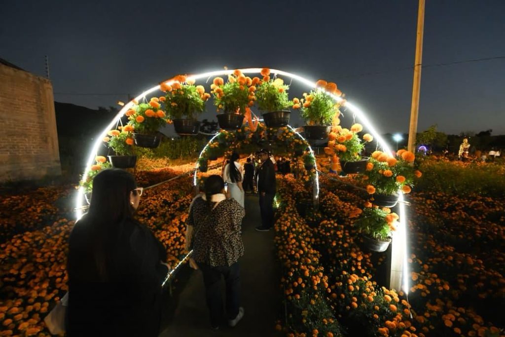 Da Sectur Oaxaca banderazo de salida del circuito floral “Flores que Guían el Alma” 4