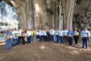 Gobierno de Oaxaca y Federación entregan certificados a ocho Árboles Notables e Históricos-7