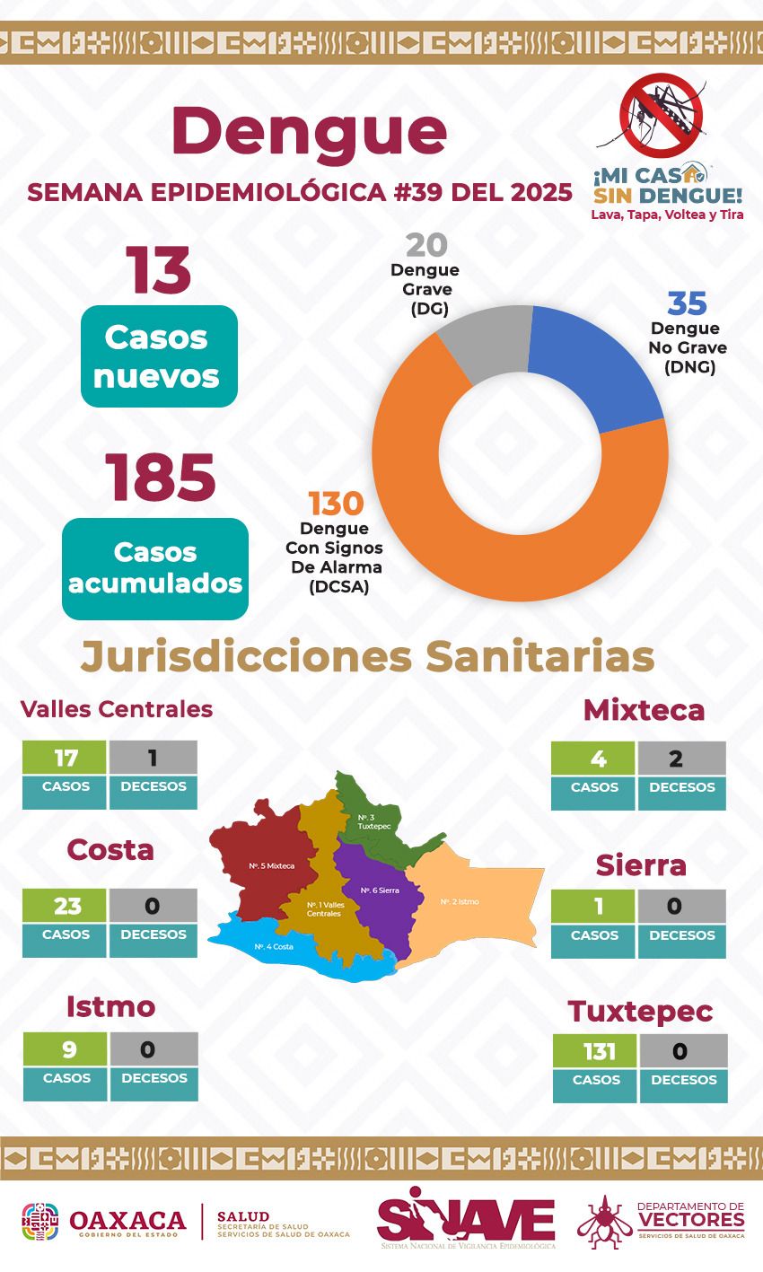 Recolecta SSO más de 295 toneladas de desechos para combatir el dengue en San Juan Bautista Tuxtepec-4