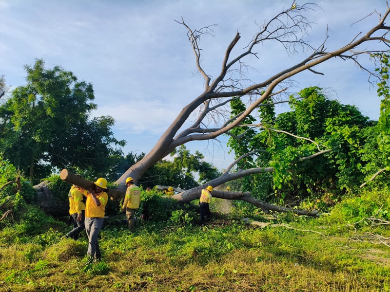 Coesfo mantiene acciones de apoyo en Pinotepa tras el paso del huracán (3)