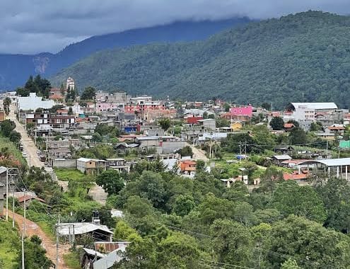 WhatsApp Image 2025-11-03 at 15.09.34