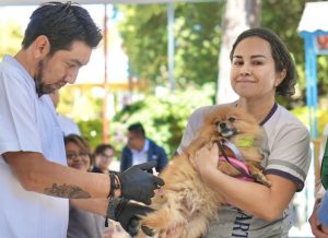 2. Arrancan SSO Campaña Estatal de Vacunación Antirrábica Canina y Felina 2026 08