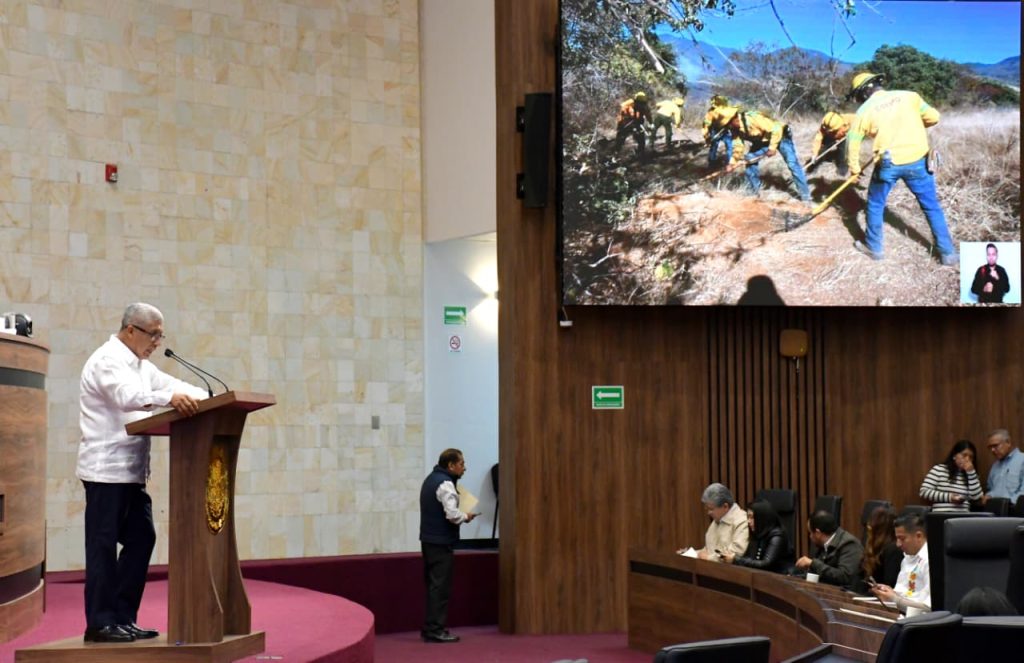 WhatsApp Image 2026-01-29 at 14.56.03