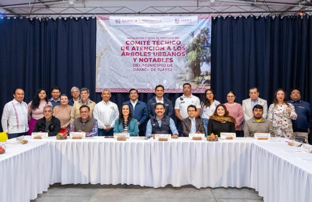 WhatsApp Image 2026-01-29 at 19.39.53