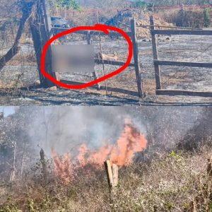 WhatsApp Image 2026-01-29 at 19.41.41