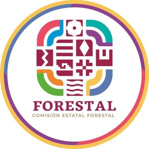 WhatsApp Image 2026-01-29 at 20.18.57