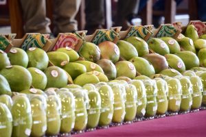 200226 FOTO 3 Entrega Salomón Jara insumos para combatir mosca de la fruta y garantizar calidad de exportación del mango producido